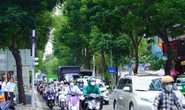 Điều chỉnh nhiều đường ở trung tâm TP HCM từ 2 chiều thành 1 chiều