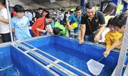 Đi Lễ hội Cá cảnh TP HCM, khách được vớt cá cảnh miễn phí về nuôi