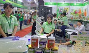 Ngành dừa sắp gia nhập CLB xuất khẩu tỉ USD
