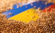 Châu Âu cấm cửa một phần ngũ cốc Ukraine, Nga bác cáo buộc tàu cá gián điệp