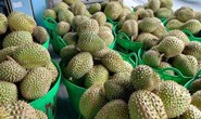 Sầu riêng rớt giá mạnh