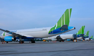 Một ngân hàng đang nắm tới 203 triệu cổ phần Bamboo Airways
