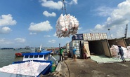 Giá gạo xuất khẩu Việt Nam cao nhất thế giới