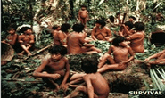 Thợ đào vàng tàn sát bộ lạc Yanomami Amazon