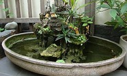 Không muốn cho mượn hòn non bộ, lấy dao đâm chết bạn