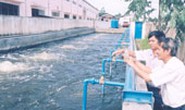 Gắn biển 13 công trình chào mừng ngày thành lập Công đoàn Việt Nam
