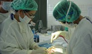 Tái tạo xương hàm bằng xương nhân tạo