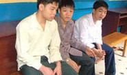 Báo động tình trạng côn đồ nhí