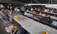 Lao động xuất khẩu châu Á lao đao