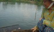 Biến đất hoang thành trang trại