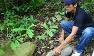 Thả 50 cá thể động vật quý hiếm về rừng