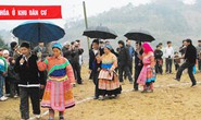 Cây ô trong đời sống của người Mông ở Lào Cai