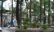 Chưa tối hồ Con Rùa đã sáng