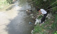 Những dòng suối... đang chết!