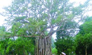 Khám phá rừng Lam Kinh