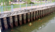 Cá nổi trên kênh Nhiêu Lộc
