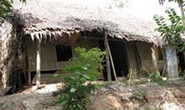 “Ma nhớt” tái xuất, mặc quần đùi giật dây chuyền