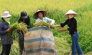 Dự thảo Luật Đất đai: Vẫn phải tiếp tục “đại phẫu”