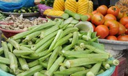 Đậu bắp - lợi ích khó ngờ