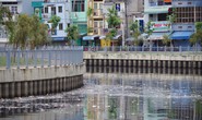 Kênh Nhiêu Lộc - Thị Nghè bị ngợp thở