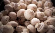 Nhiều người ngộ độc do ăn nấm