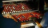 Nguy hại từ nguồn trứng trôi nổi