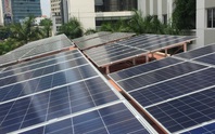 Nhiều nơi “gian lận” điện mặt trời mái nhà và nối lưới, EVN kiến nghị hướng dẫn cụ thể