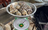 Xử phạt nhà hàng bị tố chặt chém 1,8 triệu đồng/kg ốc hương