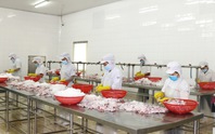 SỐNG CHUNG VỚI COVID-19: Hồi phục kinh tế TP HCM trong bối cảnh mới