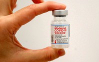 EU và Moderna bắt tay: Tháng 9 sẽ có vắc-xin kháng Omicron?