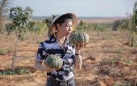Té ngửa về thông tin ca sĩ Ngọc Sơn sở hữu 50 ha đất ở Bình Thuận