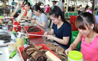 Người rút BHXH một lần ngày càng trẻ, vì sao?