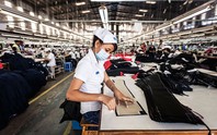 Nhật Bản, Hàn Quốc vẫn thu hút lao động Việt Nam