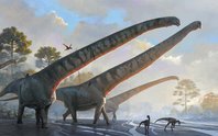 Siêu quái vật Trung Quốc 162 triệu tuổi: Chỉ phần cổ đã dài 15 m
