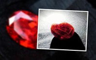 Trung Quốc: Trứng luộc hóa đá quý sau 20 năm?