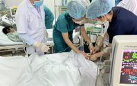 Huy động các bệnh viện lớn cứu bệnh nhân ngộ độc cá chép muối ủ chua ở Quảng Nam