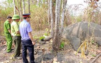 1 con voi nhà chết ở khu du lịch