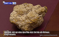 Một người lụm được cục đá chứa 2,6kg vàng