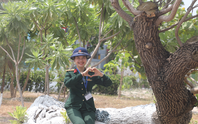 Về với đất mẹ Trường Sa