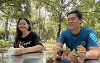 Giữ hồn vườn măng cụt Lái Thiêu