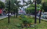 Bãi rác đã được thay bằng bồn hoa