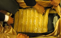 Bắt giữ 6 kg ma túy tại sân bay Tân Sơn Nhất