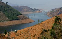 Thủy điện “tàn sát” gần 50.000 ha rừng