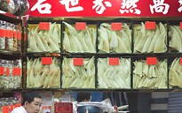 Vi cá mập Trung Quốc: Ăn vào dễ chết!