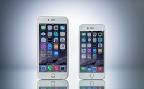 Giá iPhone 6 xách tay giảm trước ngày ra mắt hàng chính hãng