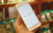 iPhone 6 Plus đầu tiên về VN giá 79 triệu đồng