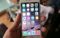 Giá dự kiến của iPhone 6 chính hãng tại Việt Nam