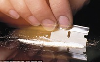 Vỡ túi cocaine trong bụng khách, máy bay hạ cánh gấp