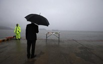 Tài xế nộp mình, hy vọng hé lộ những ngày cuối của chủ tàu Sewol