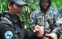 Bắt vắt để tìm sao la